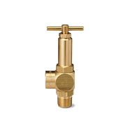 Pressure Relief Valve AA110 3 8 300 Spraying Systems Co 
