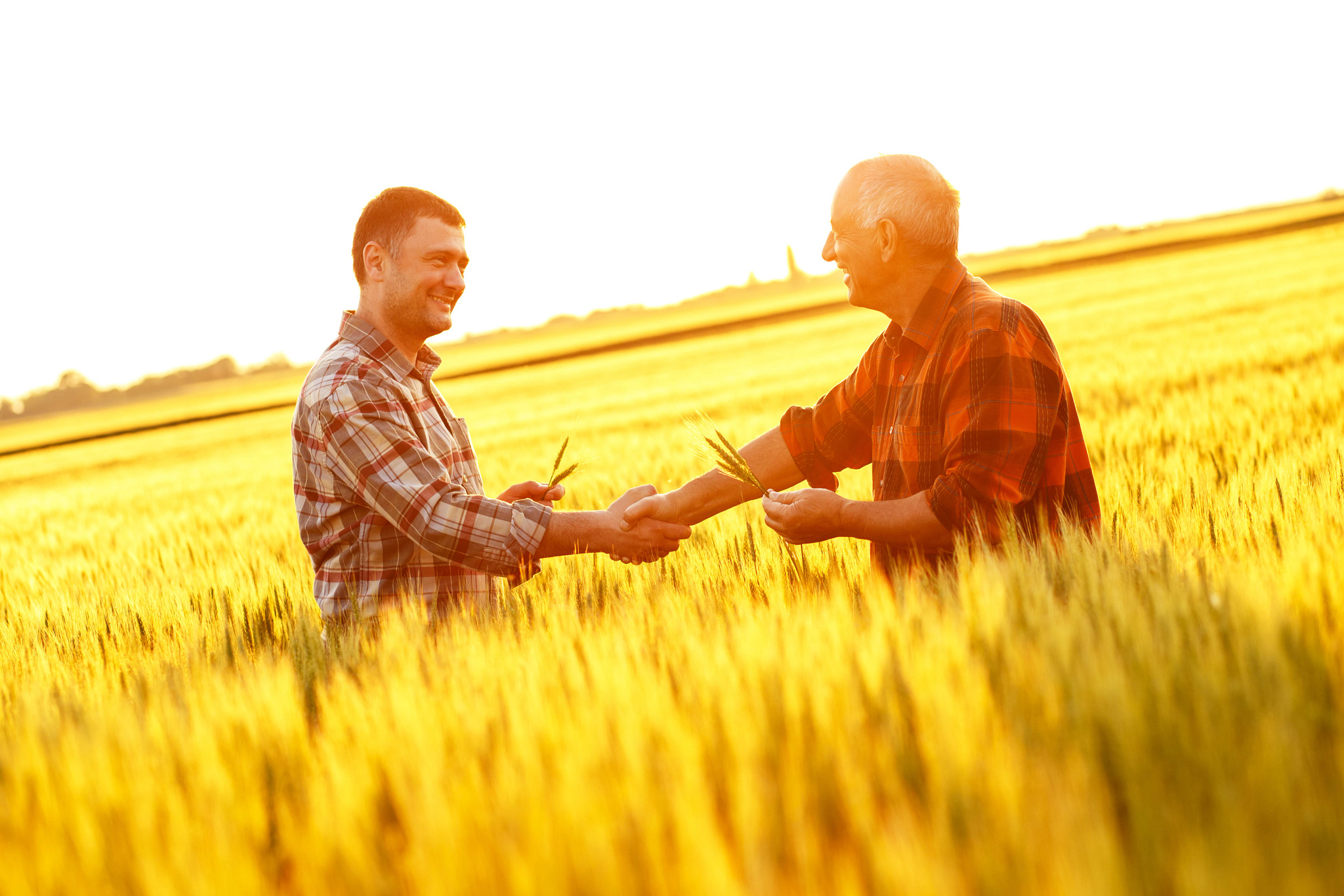 2 farmers in a field of wheat shaking hands